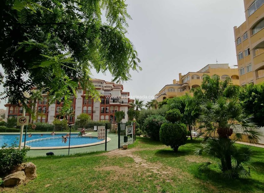 Reventa - Apartamento / piso - Torrevieja - Costa Blanca