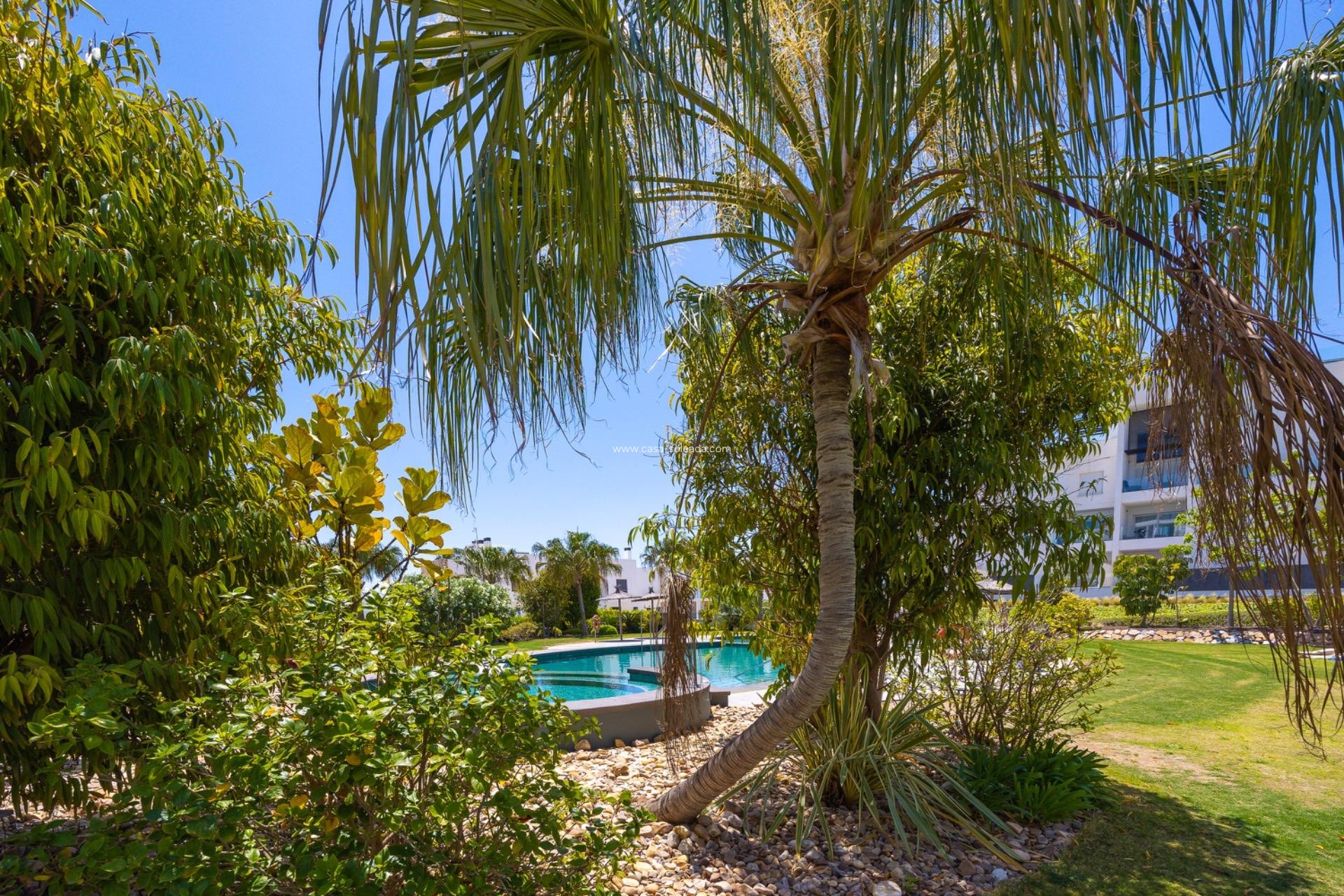 Reventa - Apartamento / piso - Torrevieja - Los Balcones