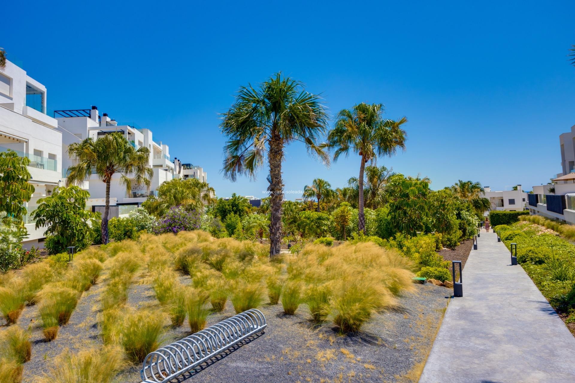 Reventa - Apartamento / piso - Torrevieja - Los Balcones
