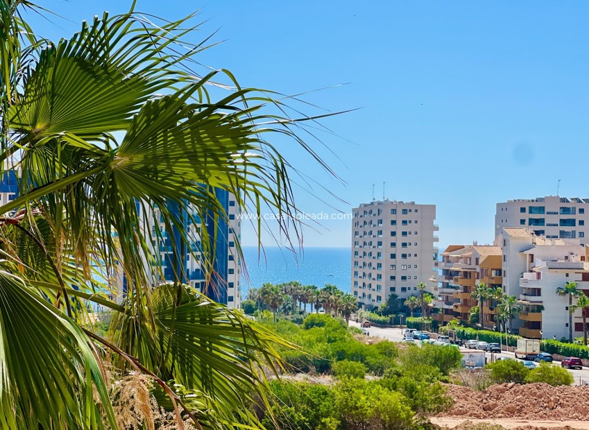 Reventa - Apartamento / piso - Torrevieja - Punta Prima