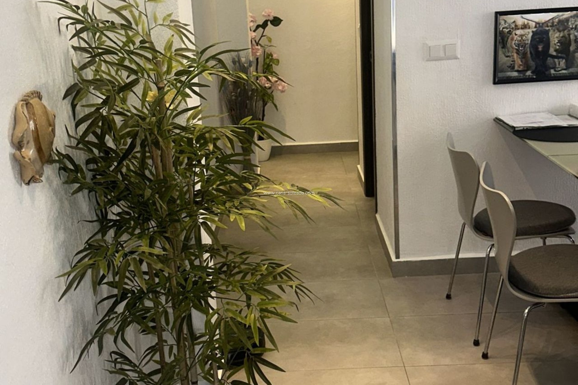 Reventa - Apartamento / piso - Torrevieja