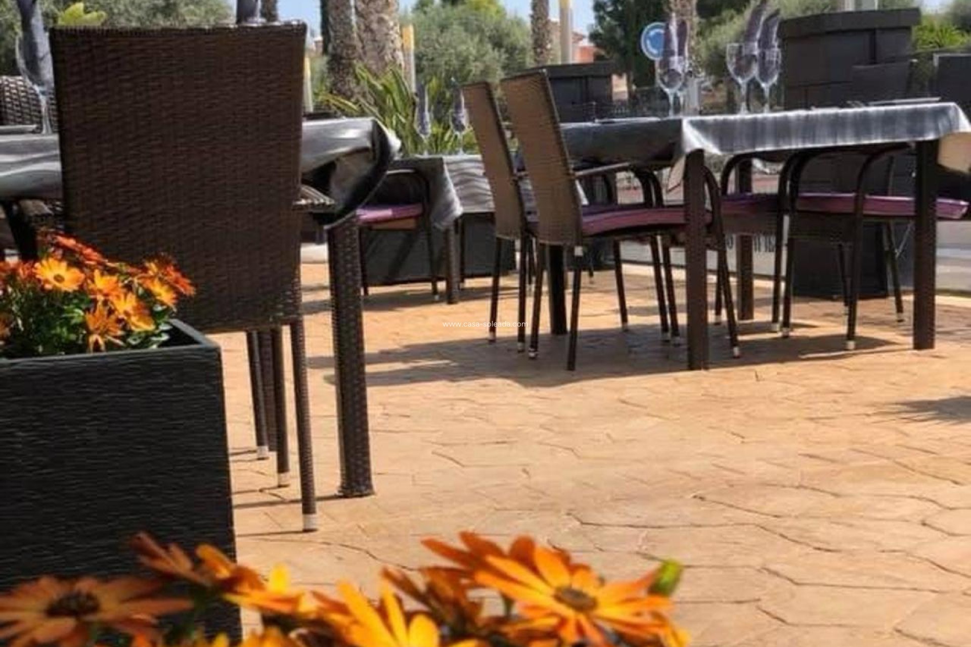 Reventa - Comercial - Guardamar del Segura