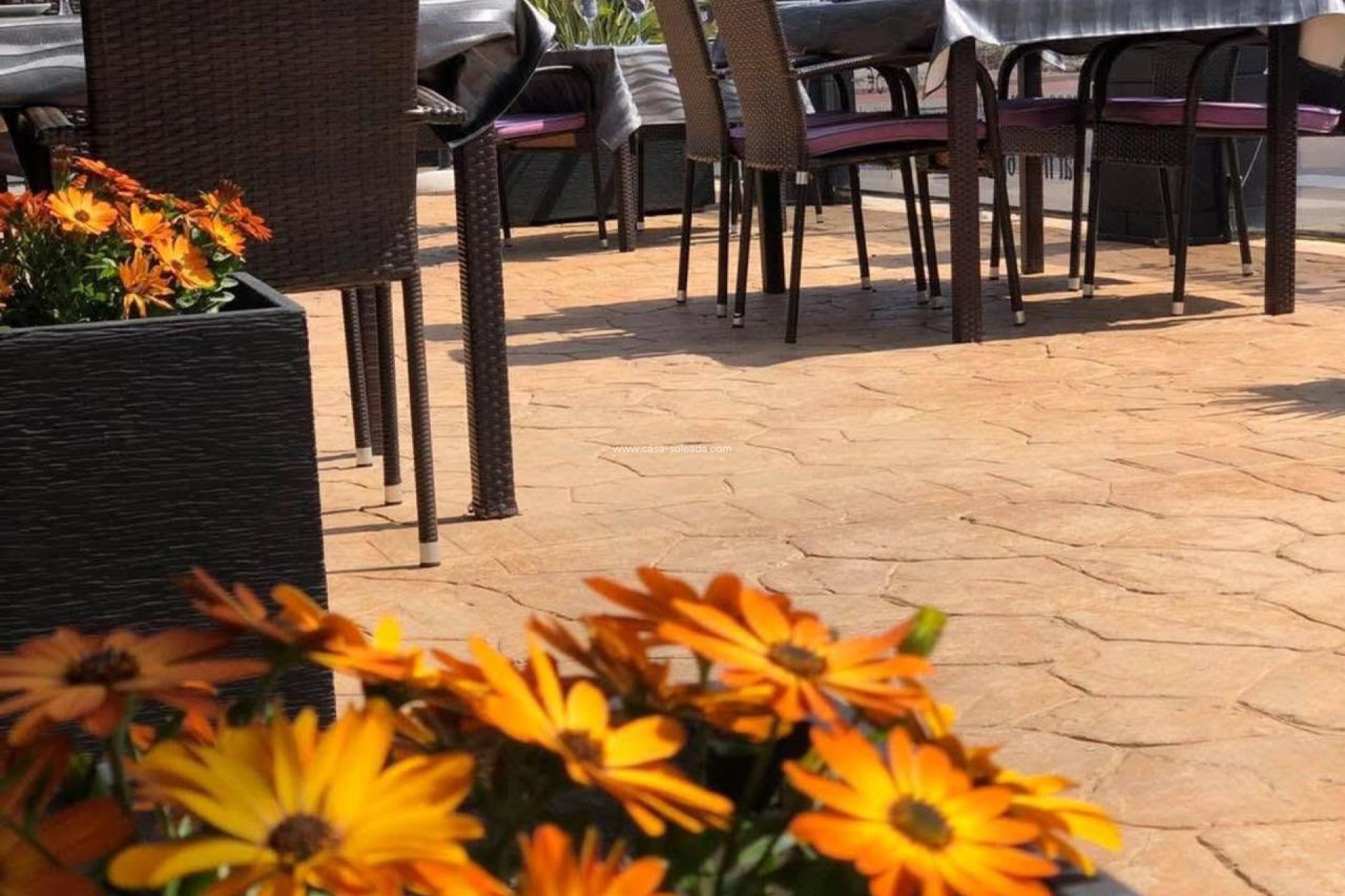 Reventa - Comercial - Guardamar del Segura