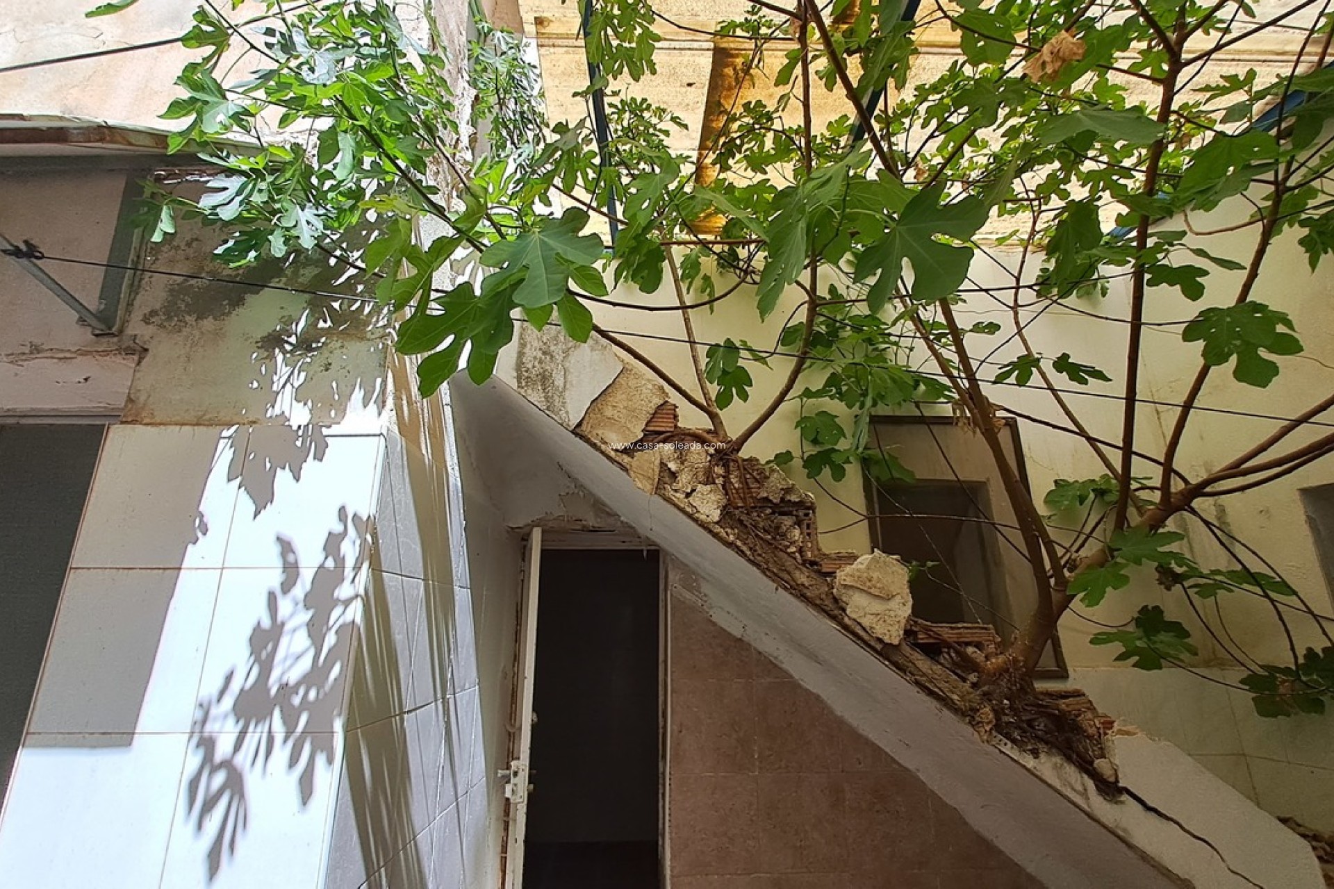 Reventa - Comercial - Orihuela