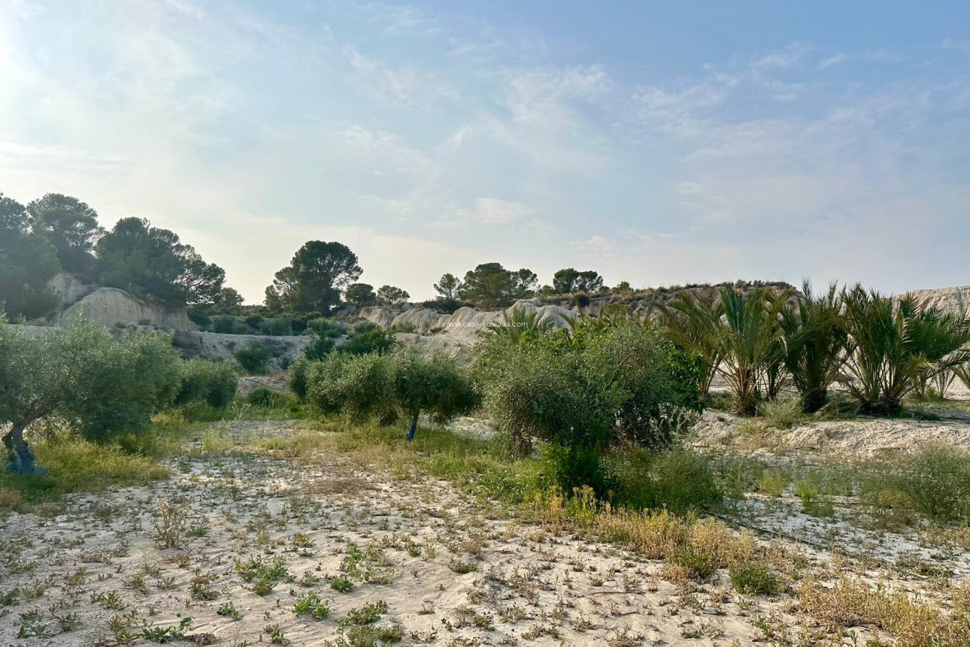 Reventa - Country Property/Finca - Abanilla - Inland