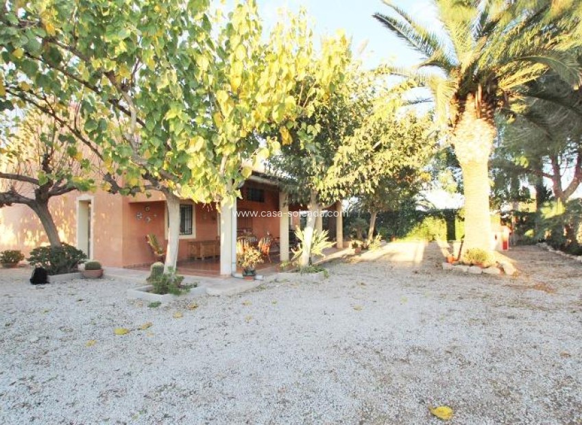 Reventa - Country Property/Finca - Almoradí - Comunidad Valenciana