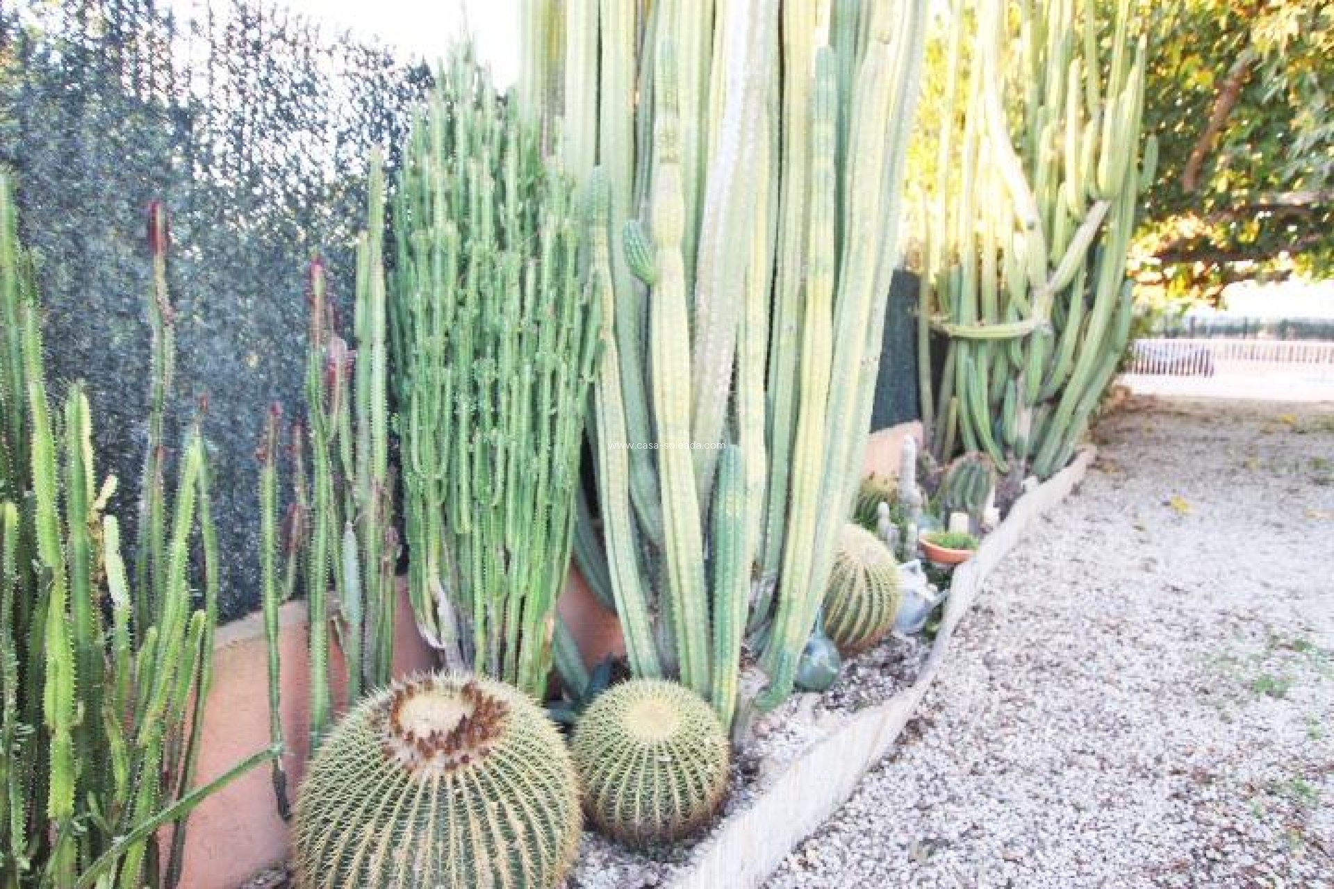 Reventa - Country Property/Finca - Almoradí - Comunidad Valenciana