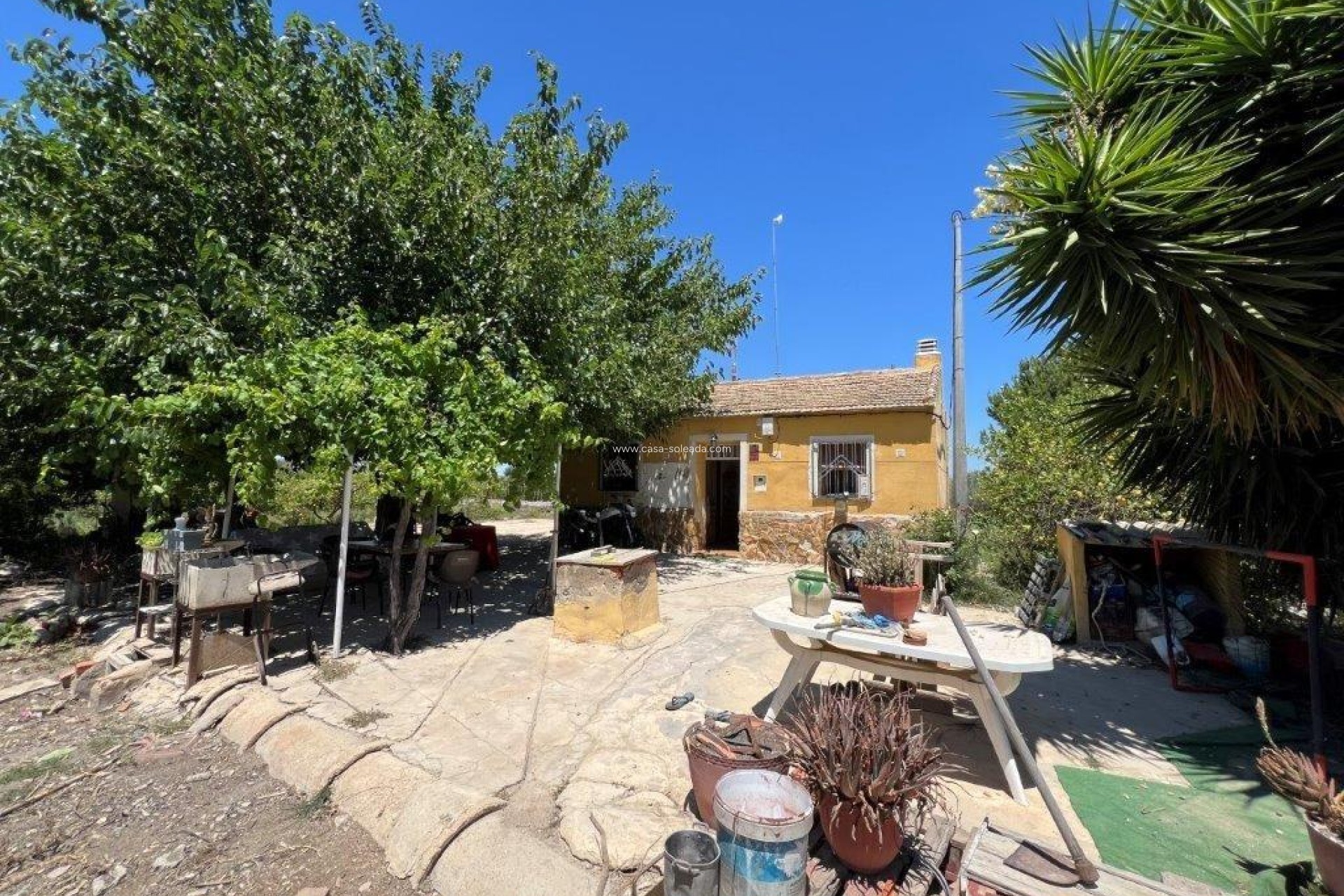 Reventa - Country Property/Finca - Daya Nueva - almoradi