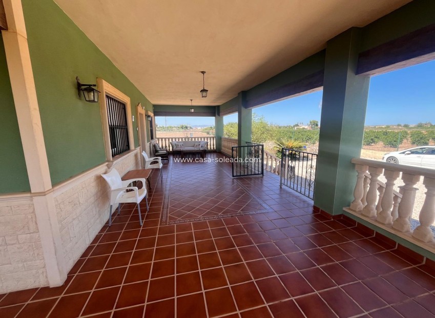 Reventa - Country Property/Finca - Daya Nueva - La Bodega