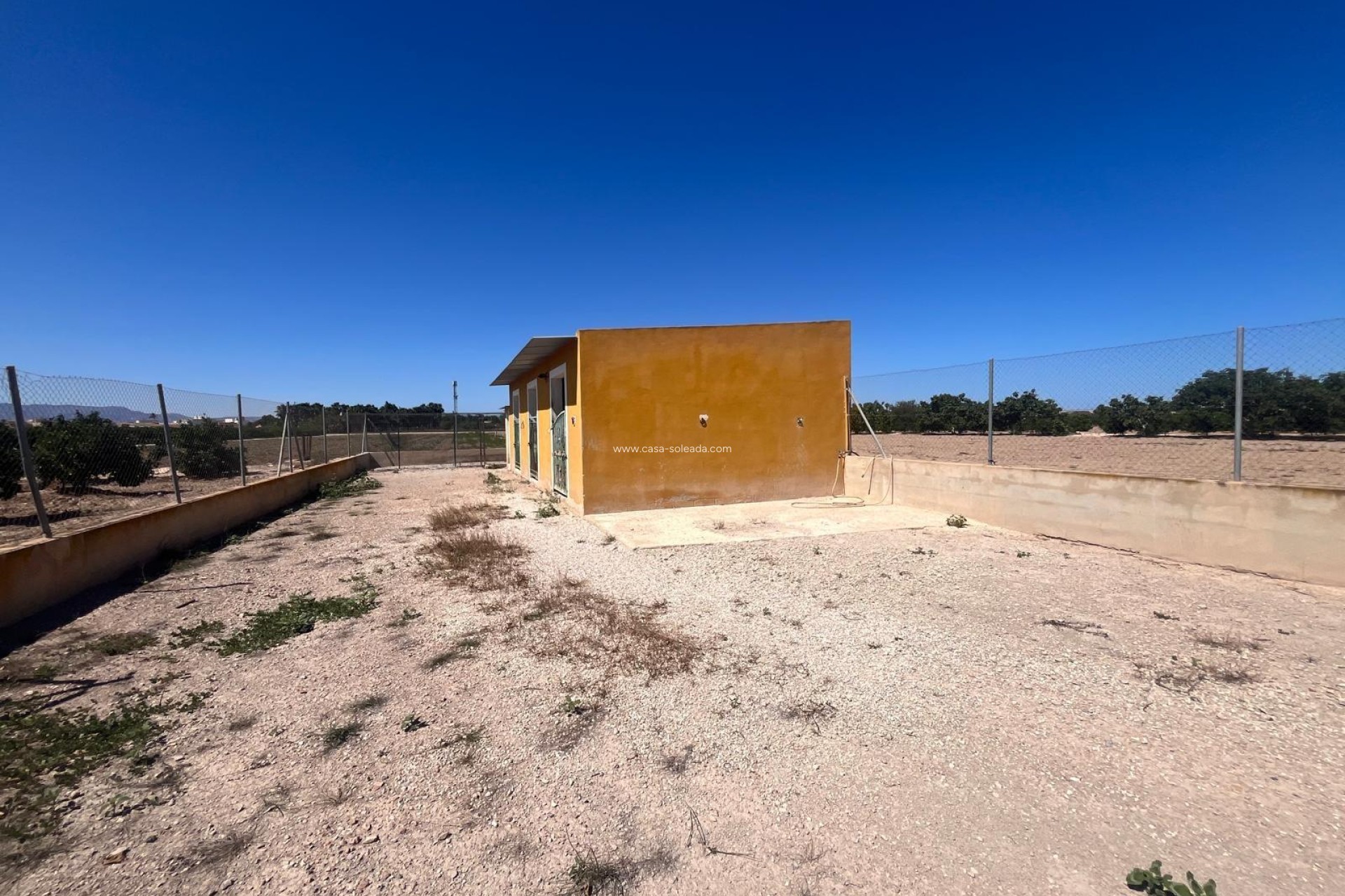 Reventa - Country Property/Finca - Daya Nueva - La Bodega
