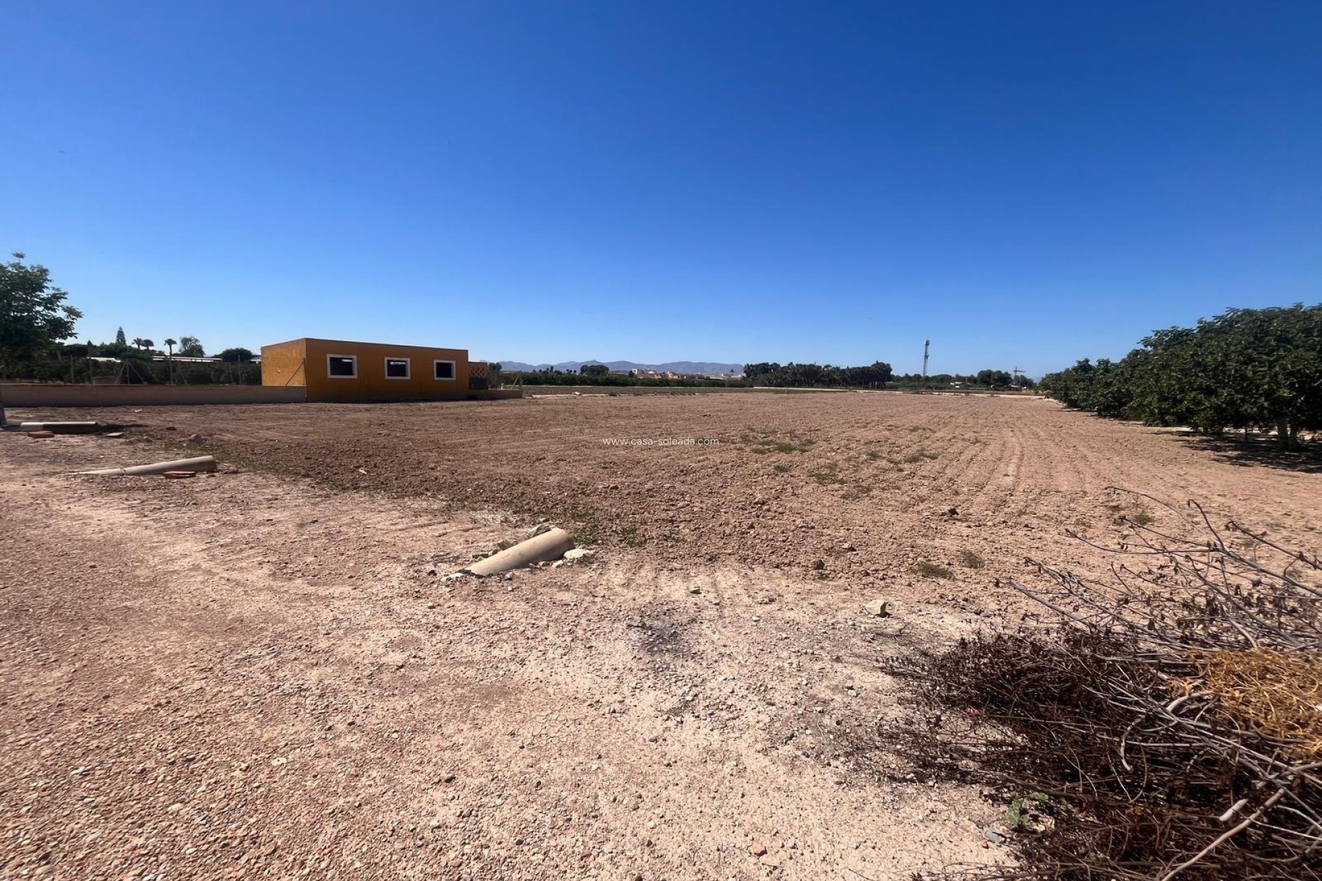 Reventa - Country Property/Finca - Daya Nueva - La Bodega