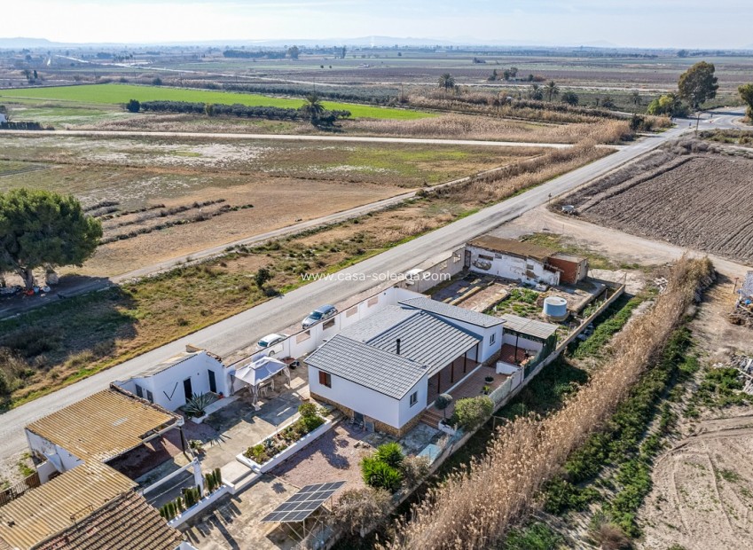 Reventa - Country Property/Finca - Elche - Daimés