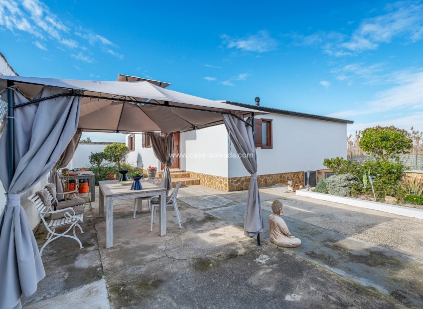 Reventa - Country Property/Finca - Elche - Daimés