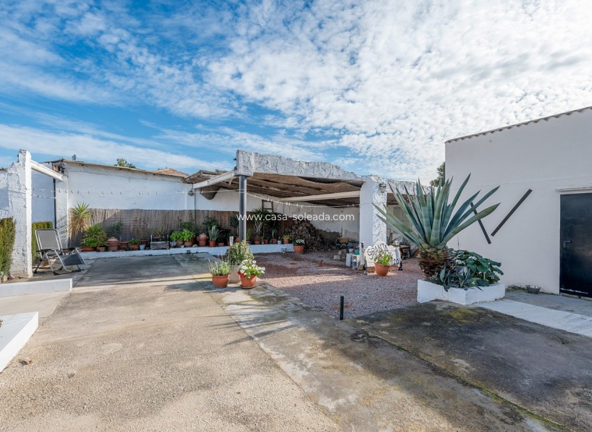 Reventa - Country Property/Finca - Elche - Daimés
