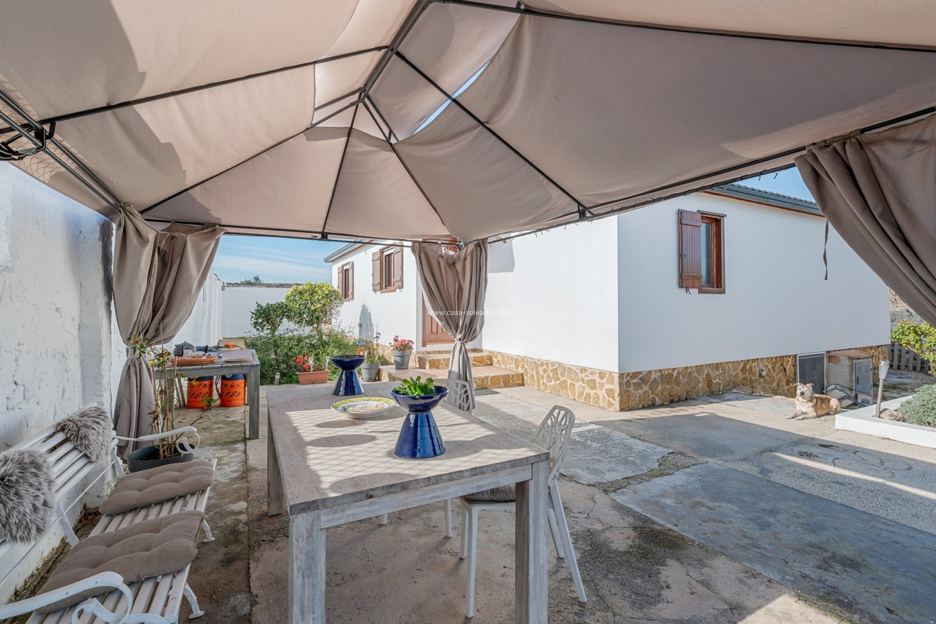 Reventa - Country Property/Finca - Elche - Daimés