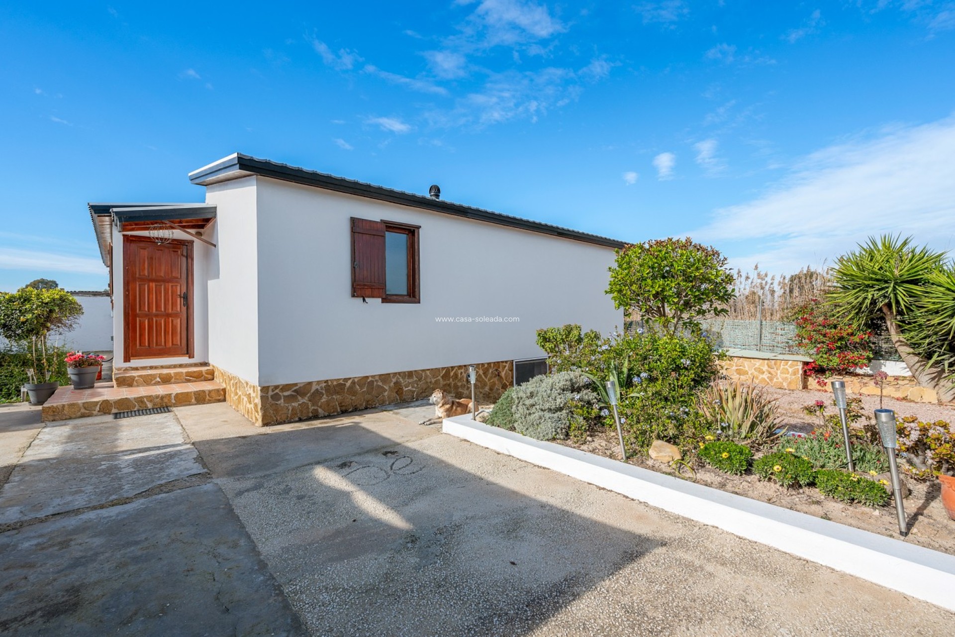 Reventa - Country Property/Finca - Elche - Daimés