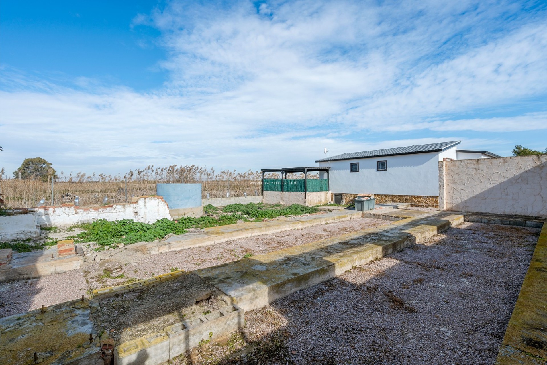 Reventa - Country Property/Finca - Elche - Daimés