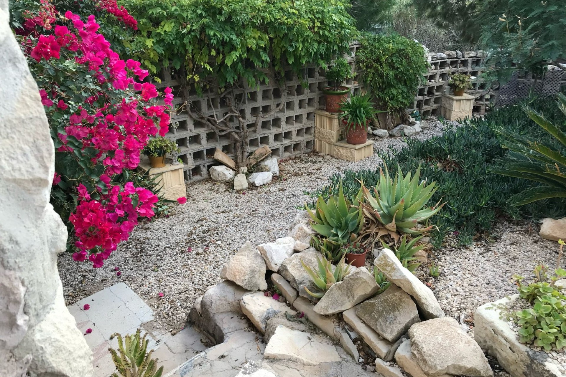 Reventa - Country Property/Finca - Monóvar - Inland