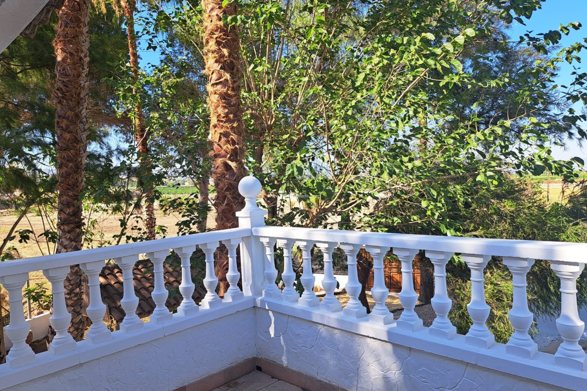 Reventa - Country Property/Finca - Orihuela - Inland
