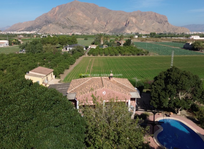 Reventa - Country Property/Finca - Orihuela - San Bartolome