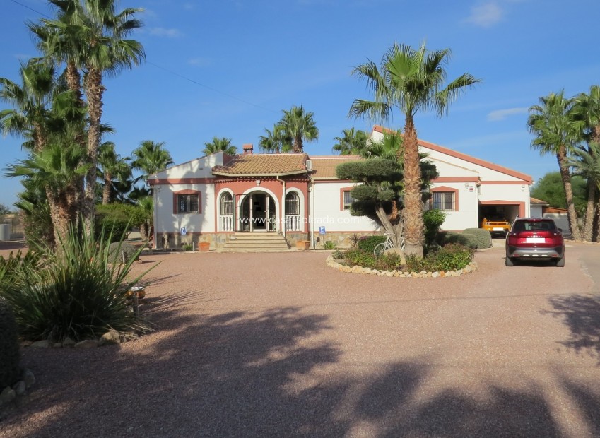 Reventa - Finca / Country Property - Daya Vieja - Daya vieja