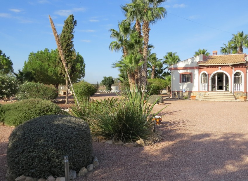 Reventa - Finca / Country Property - Daya Vieja - Daya vieja