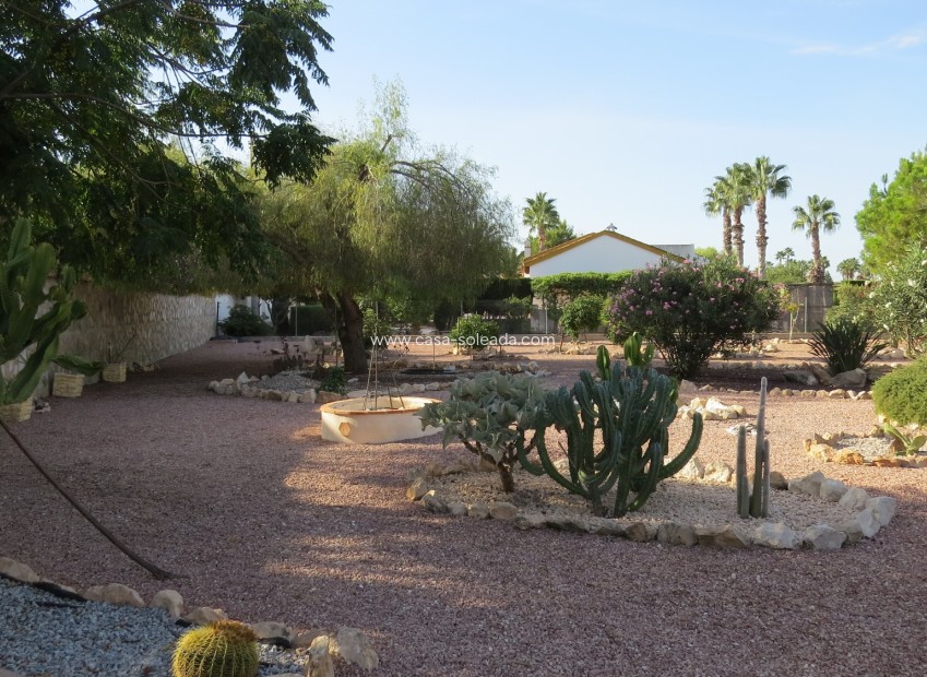 Reventa - Finca / Country Property - Daya Vieja - Daya vieja