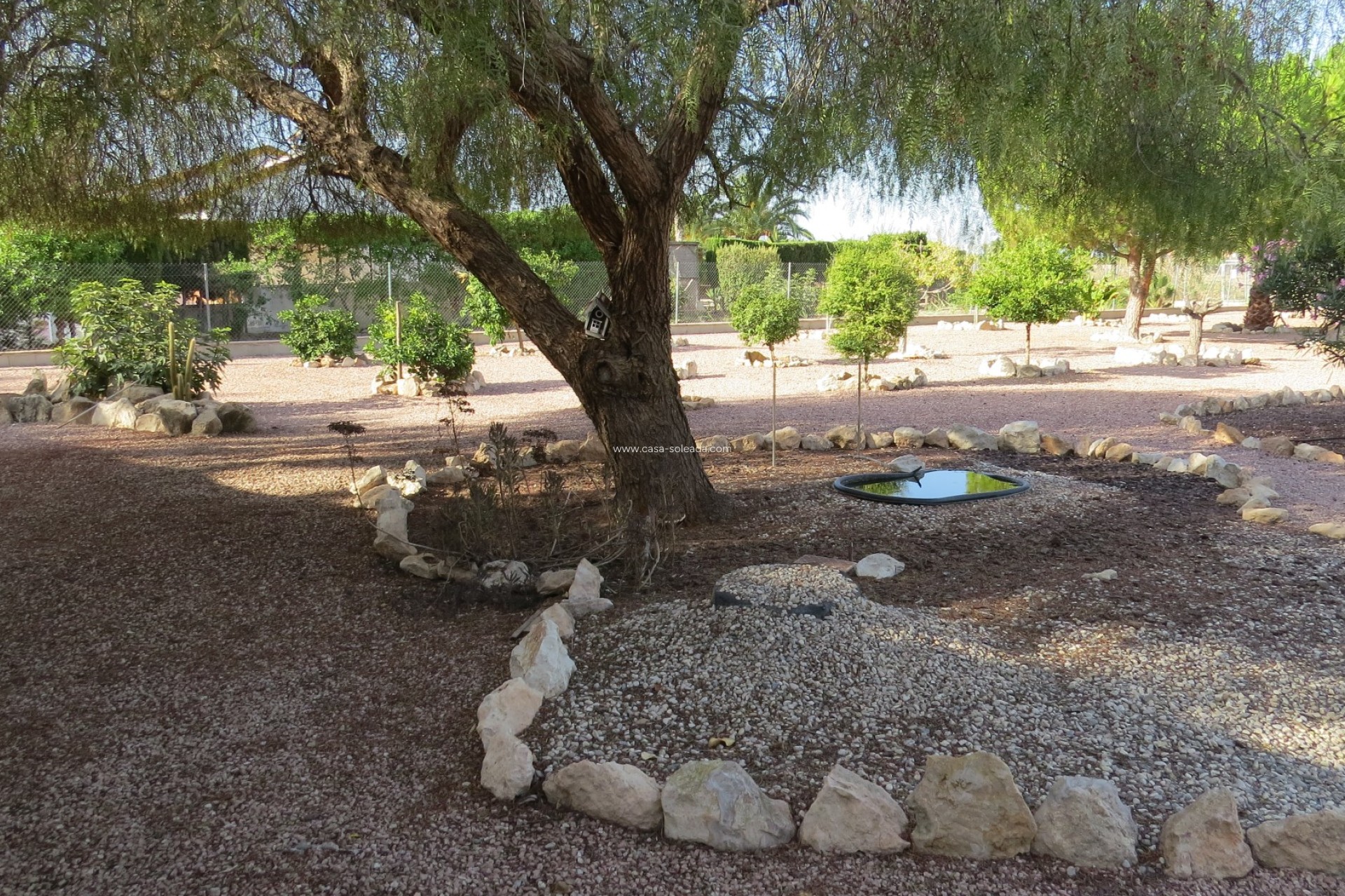 Reventa - Finca / Country Property - Daya Vieja - Daya vieja