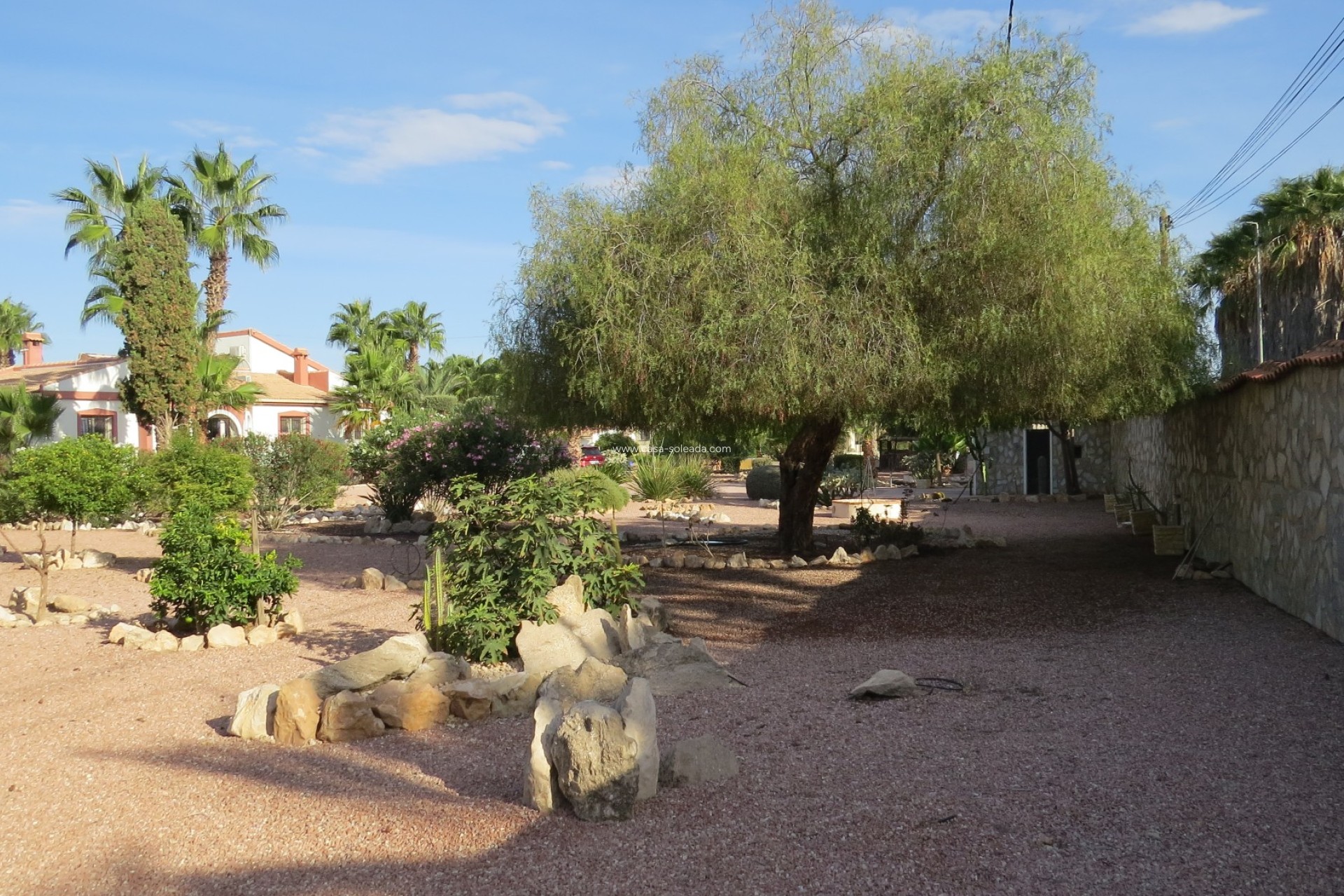 Reventa - Finca / Country Property - Daya Vieja - Daya vieja