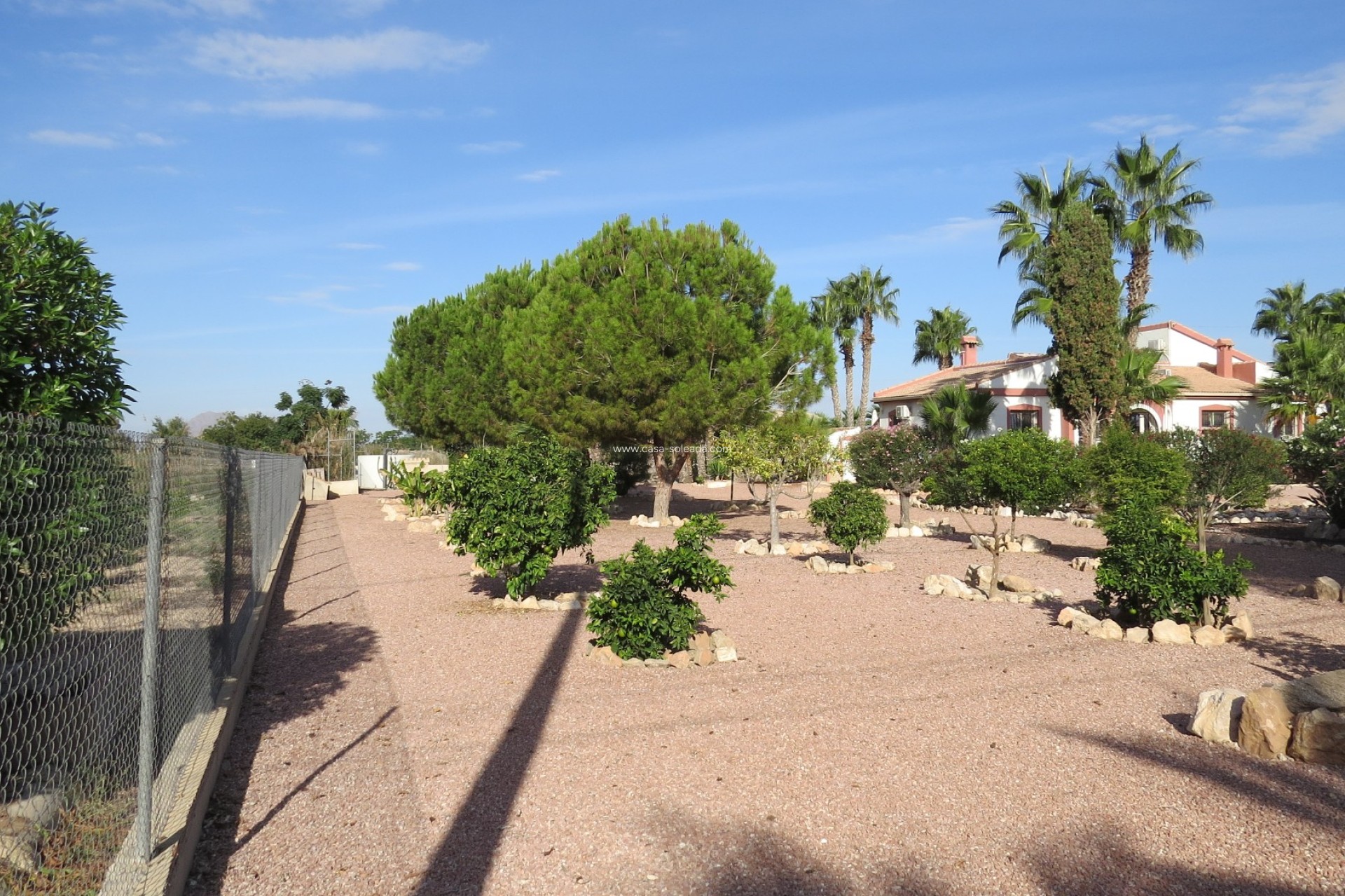 Reventa - Finca / Country Property - Daya Vieja - Daya vieja