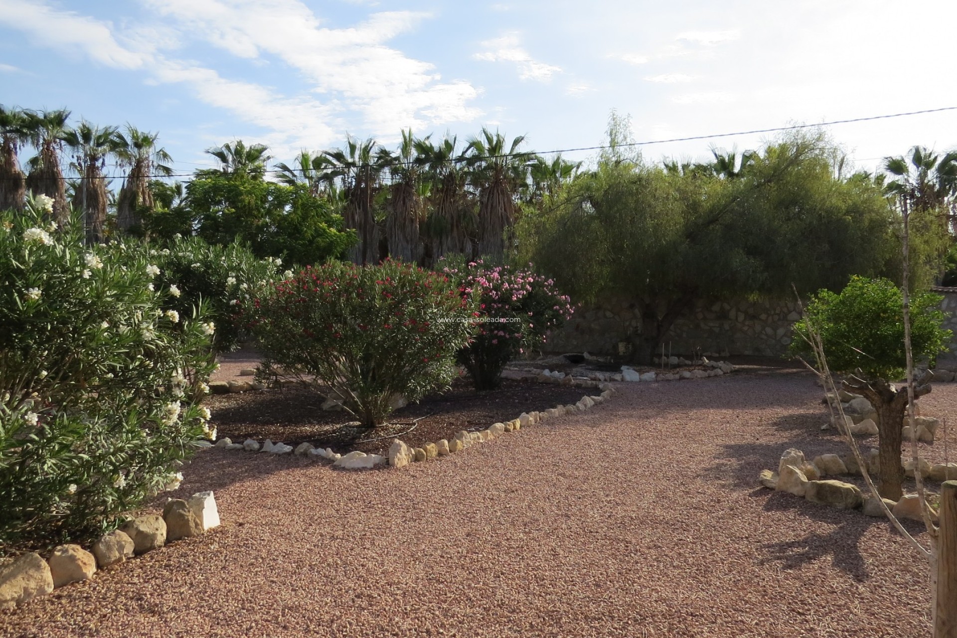 Reventa - Finca / Country Property - Daya Vieja - Daya vieja