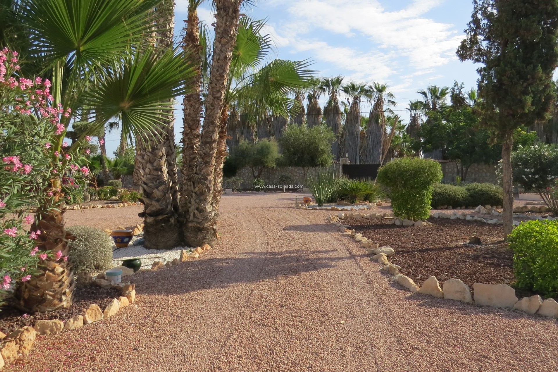 Reventa - Finca / Country Property - Daya Vieja - Daya vieja