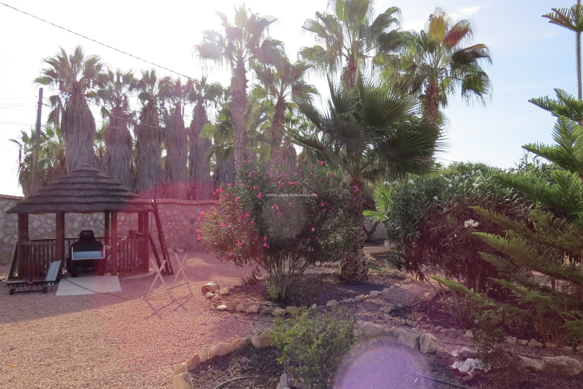 Reventa - Finca / Country Property - Daya Vieja - Daya vieja
