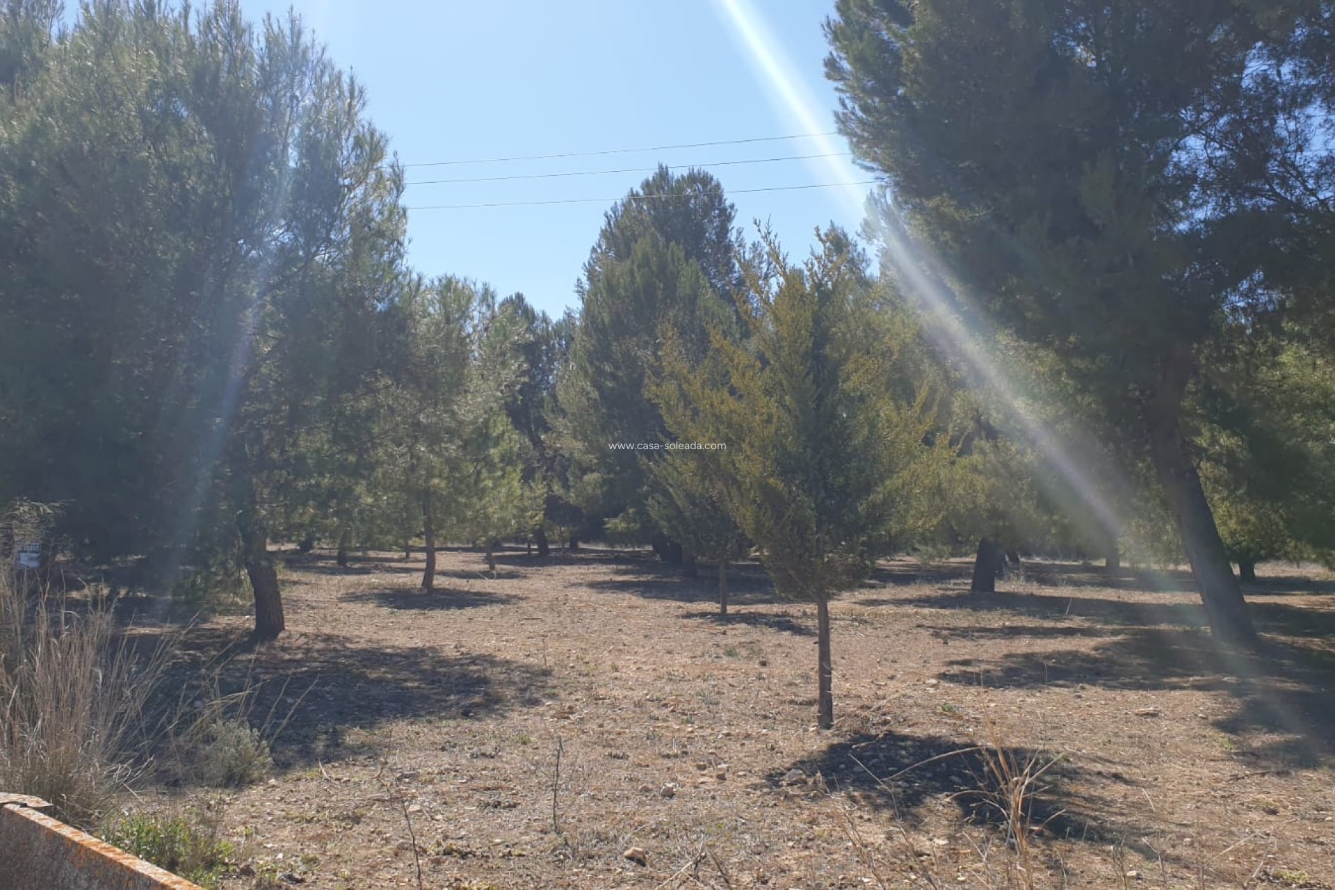 Reventa - Land - Beneixama - Inland