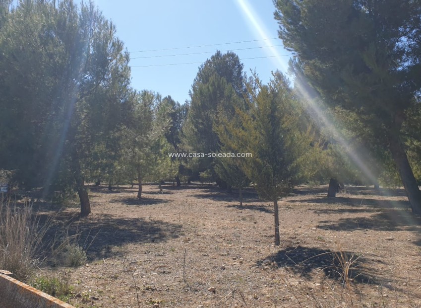 Reventa - Land - Beneixama - Inland