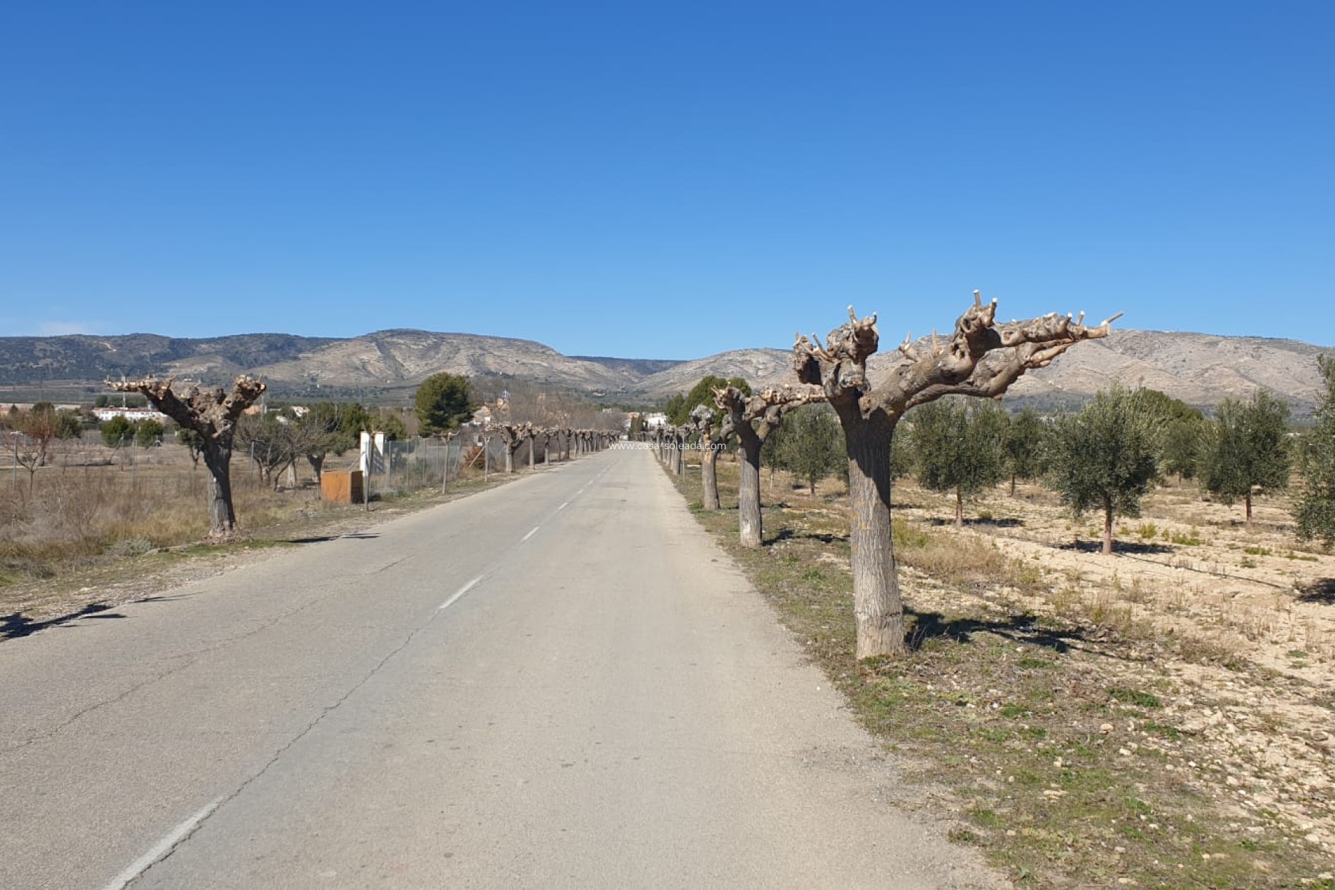 Reventa - Land - Beneixama - Inland