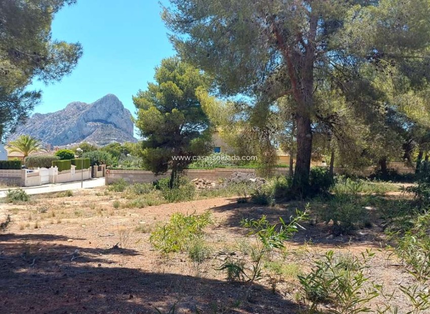 Reventa - Land - Calpe - Costa Blanca