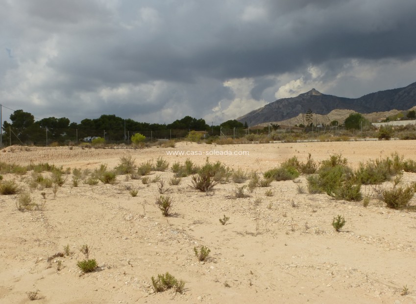 Reventa - Land - Crevillente - Crevillent