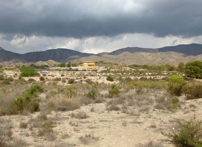 Reventa - Land - Crevillente - Crevillent