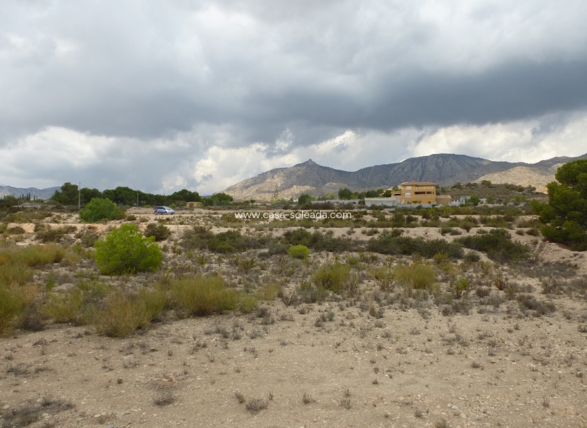 Reventa - Land - Crevillente - Crevillent