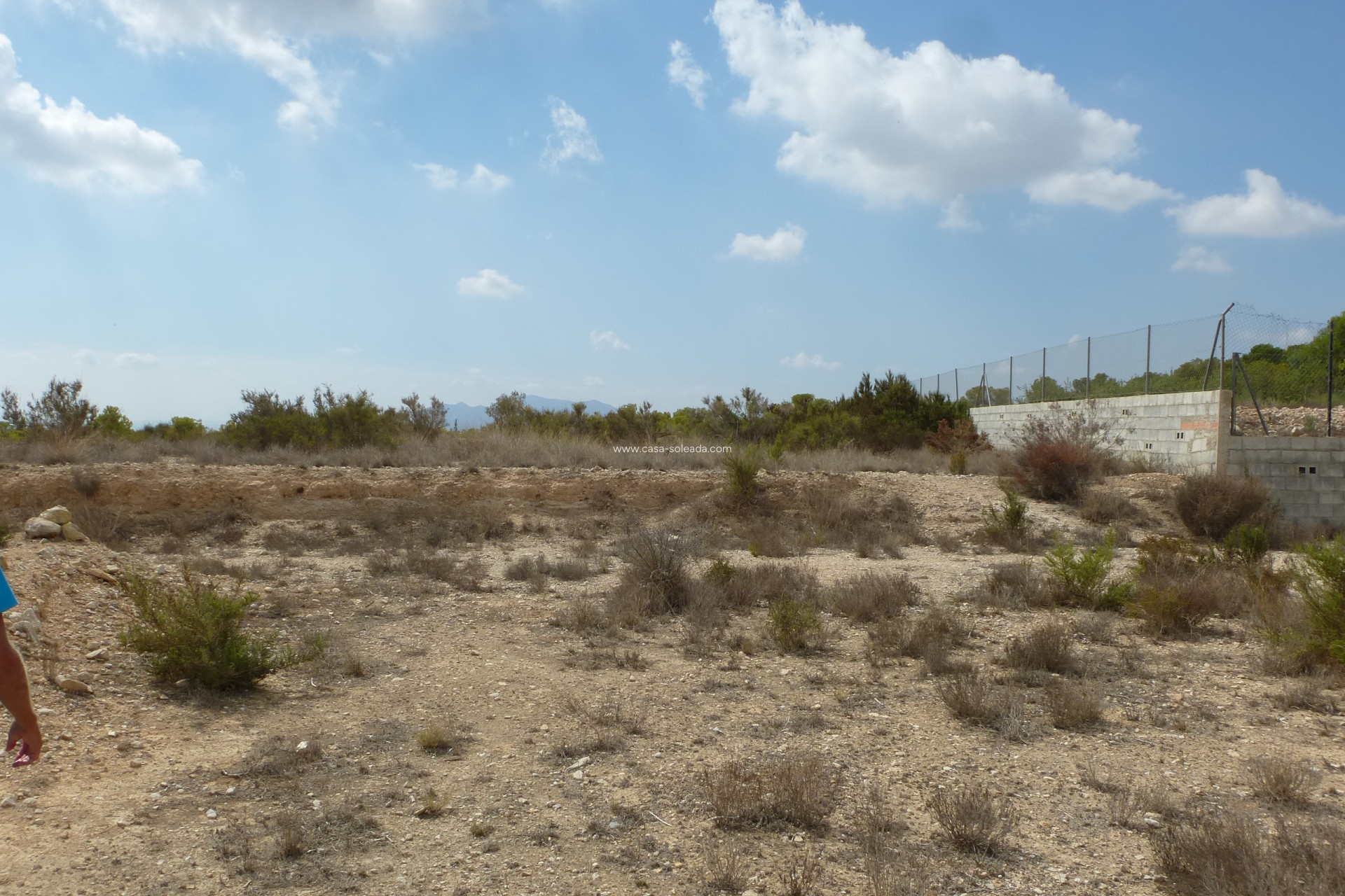Reventa - Land - Crevillente - Crevillent