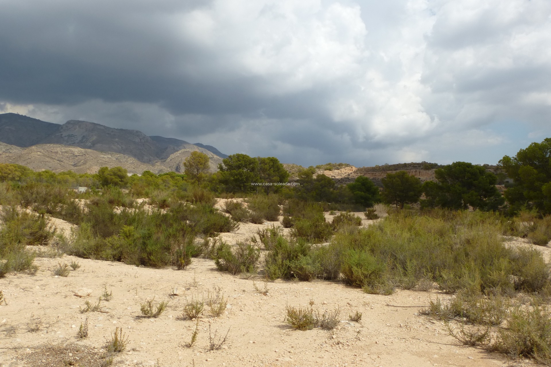 Reventa - Land - Crevillente - Crevillent