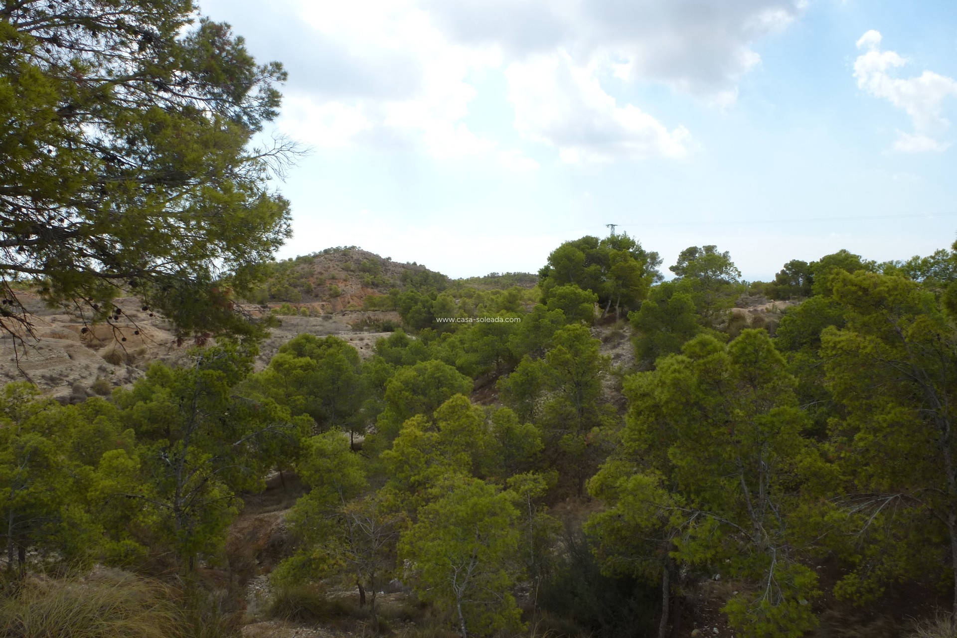 Reventa - Land - Crevillente - Crevillent