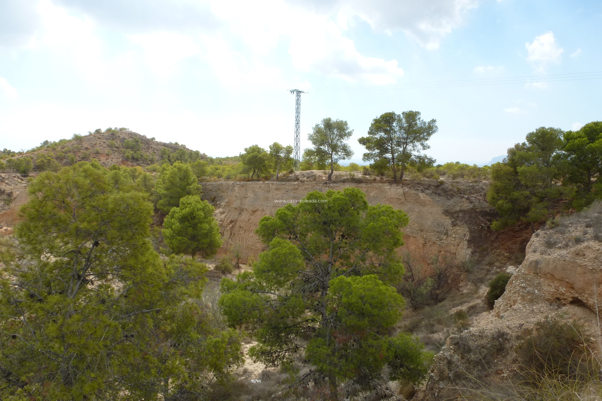 Reventa - Land - Crevillente - Crevillent
