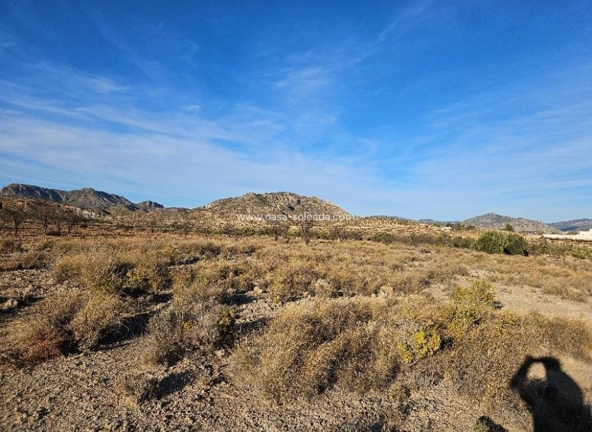 Reventa - Land - Elda - 03600