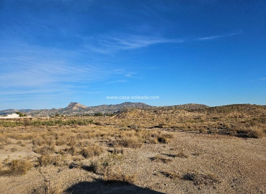 Reventa - Land - Elda - 03600
