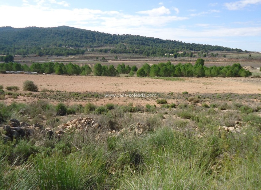 Reventa - Land - Monóvar - Inland