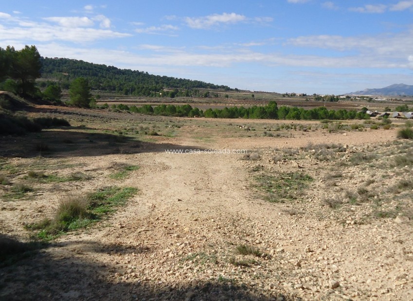 Reventa - Land - Monóvar - Inland