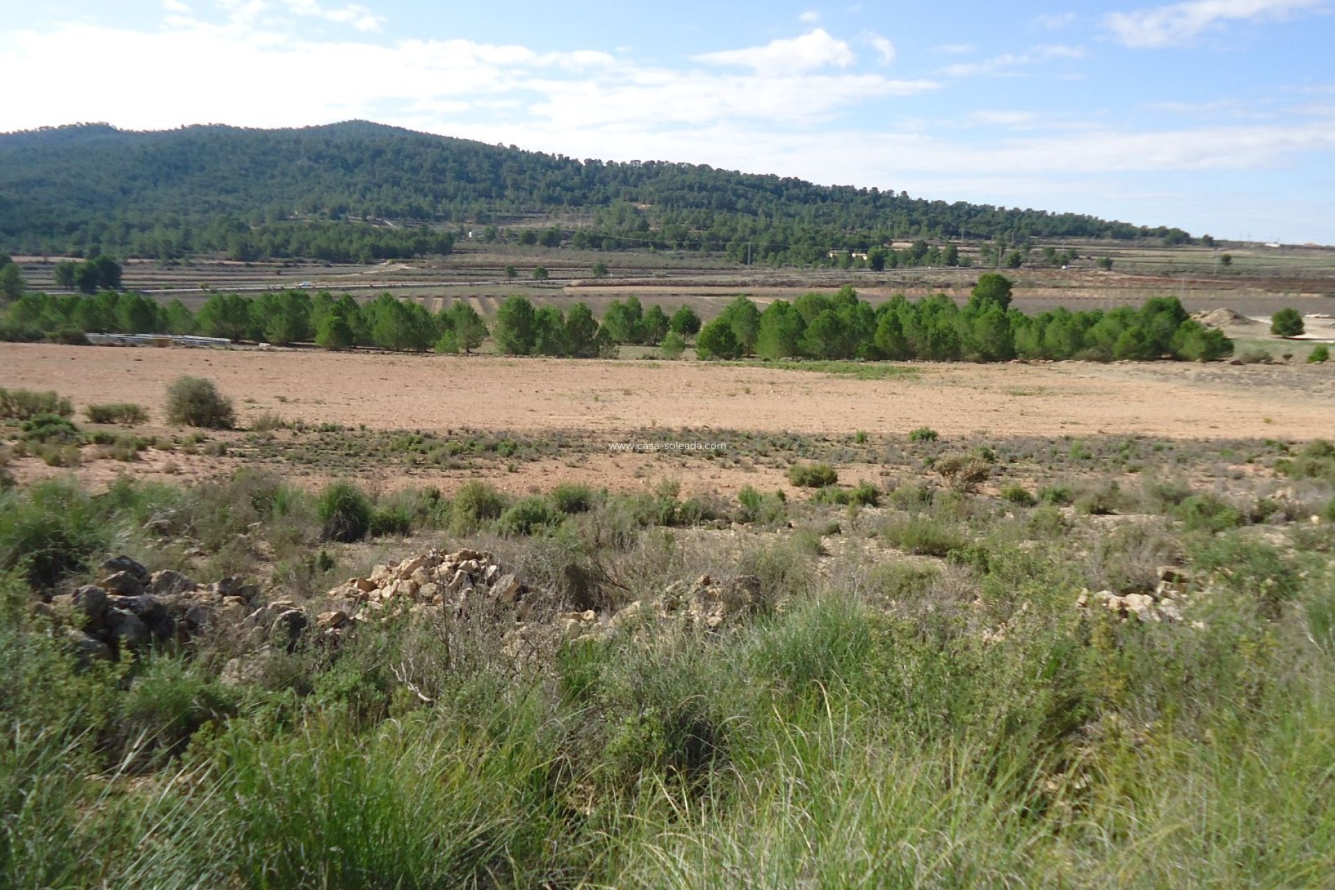 Reventa - Land - Monóvar - Inland