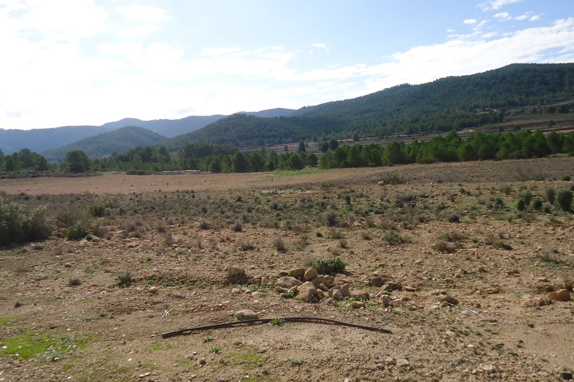 Reventa - Land - Monóvar - Inland